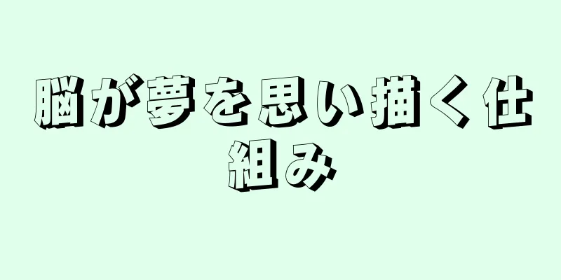 脳が夢を思い描く仕組み