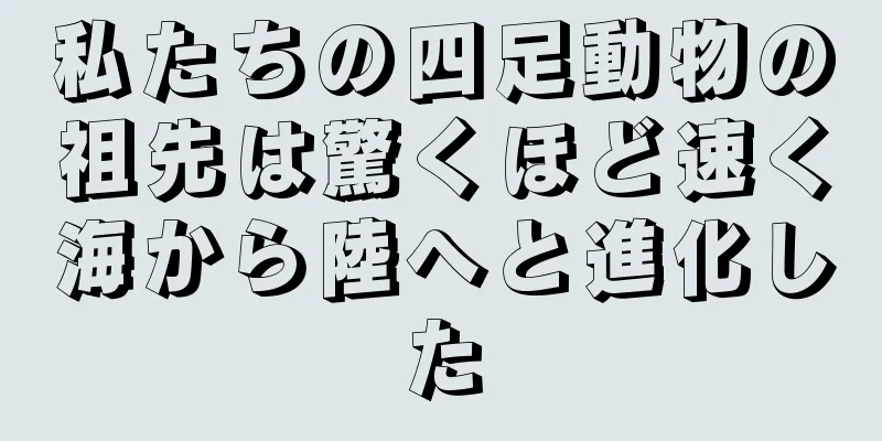 私たちの四足動物の祖先は驚くほど速く海から陸へと進化した