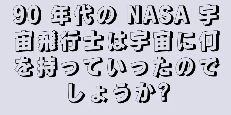 90 年代の NASA 宇宙飛行士は宇宙に何を持っていったのでしょうか?