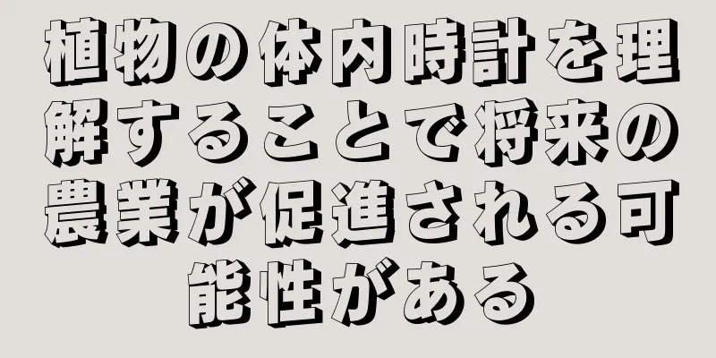 植物の体内時計を理解することで将来の農業が促進される可能性がある