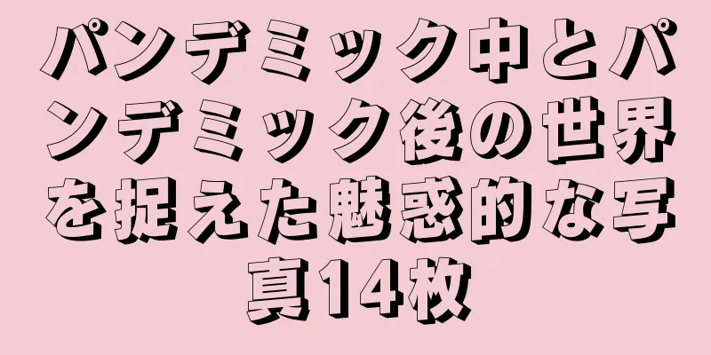 パンデミック中とパンデミック後の世界を捉えた魅惑的な写真14枚