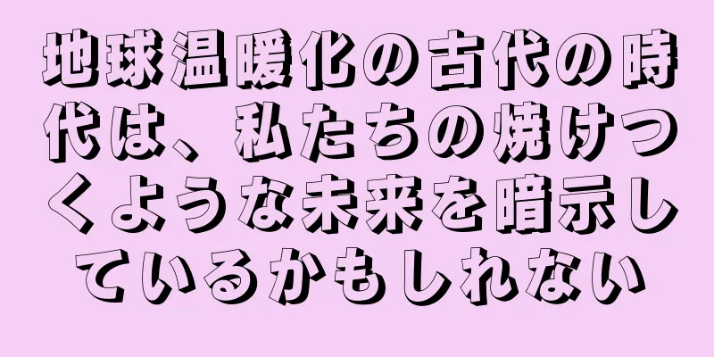 地球温暖化の古代の時代は、私たちの焼けつくような未来を暗示しているかもしれない