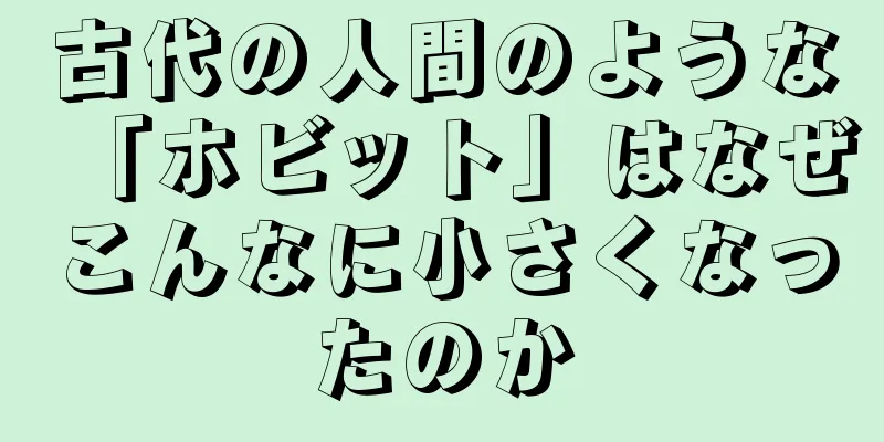 古代の人間のような「ホビット」はなぜこんなに小さくなったのか