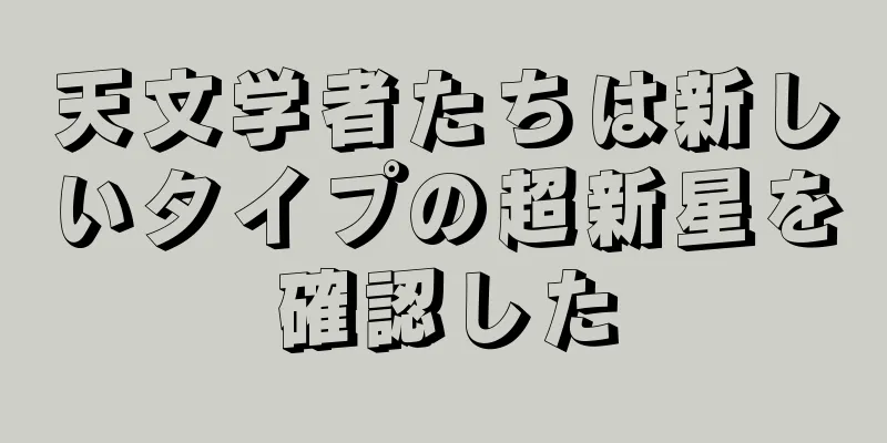 天文学者たちは新しいタイプの超新星を確認した