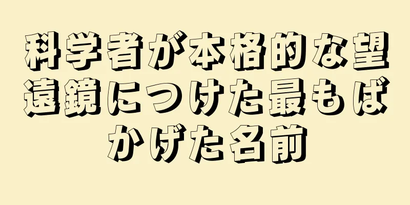 科学者が本格的な望遠鏡につけた最もばかげた名前