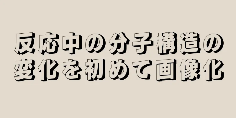 反応中の分子構造の変化を初めて画像化