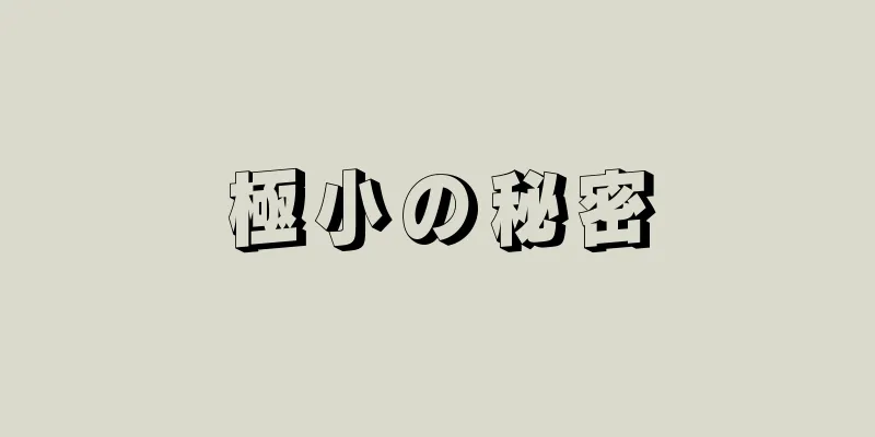 極小の秘密