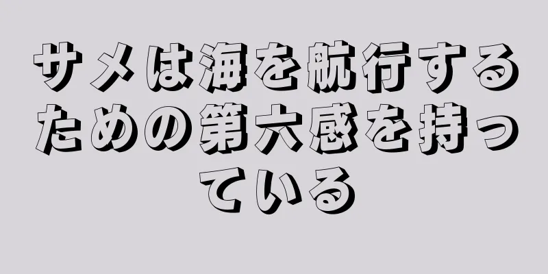 サメは海を航行するための第六感を持っている