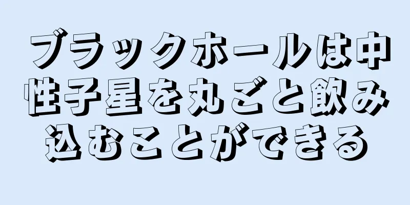 ブラックホールは中性子星を丸ごと飲み込むことができる