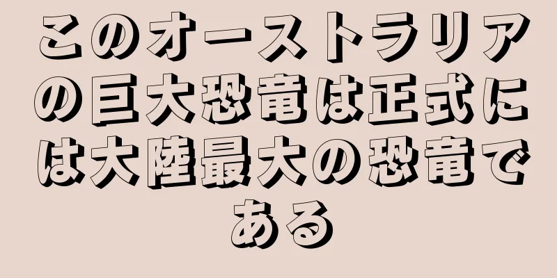 このオーストラリアの巨大恐竜は正式には大陸最大の恐竜である