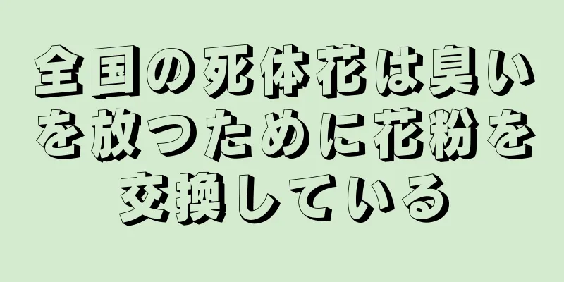全国の死体花は臭いを放つために花粉を交換している