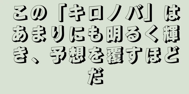 この「キロノバ」はあまりにも明るく輝き、予想を覆すほどだ