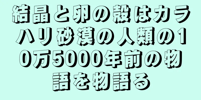 結晶と卵の殻はカラハリ砂漠の人類の10万5000年前の物語を物語る