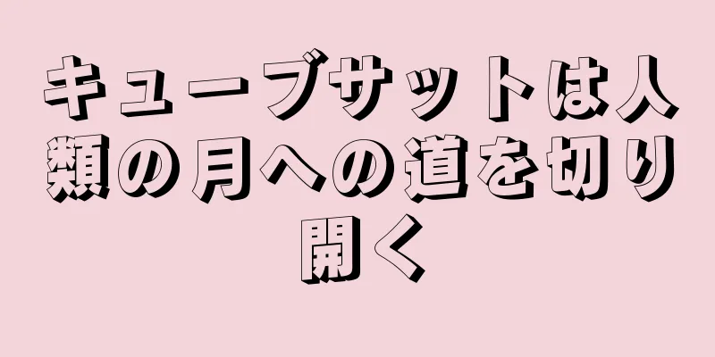 キューブサットは人類の月への道を切り開く