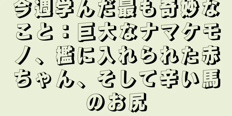 今週学んだ最も奇妙なこと：巨大なナマケモノ、檻に入れられた赤ちゃん、そして辛い馬のお尻