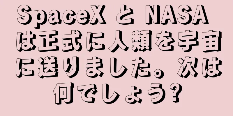 SpaceX と NASA は正式に人類を宇宙に送りました。次は何でしょう?