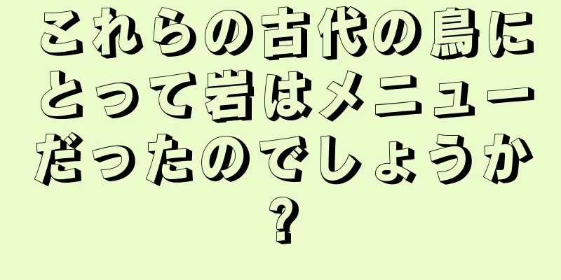 これらの古代の鳥にとって岩はメニューだったのでしょうか?