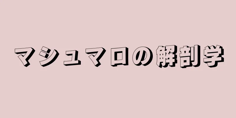 マシュマロの解剖学