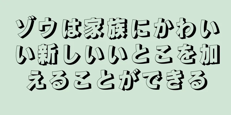 ゾウは家族にかわいい新しいいとこを加えることができる