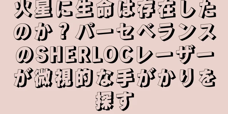 火星に生命は存在したのか？パーセベランスのSHERLOCレーザーが微視的な手がかりを探す