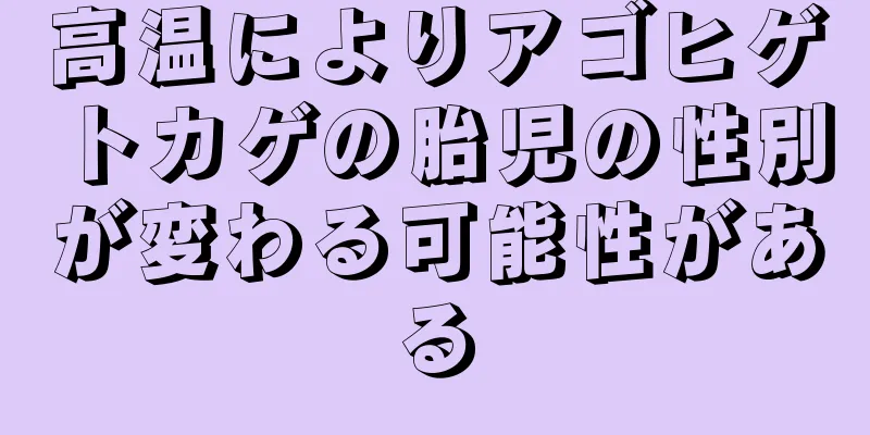 高温によりアゴヒゲトカゲの胎児の性別が変わる可能性がある
