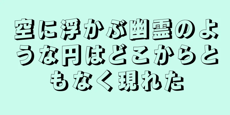 空に浮かぶ幽霊のような円はどこからともなく現れた