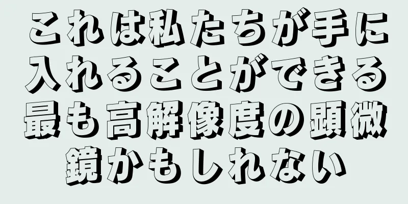 これは私たちが手に入れることができる最も高解像度の顕微鏡かもしれない