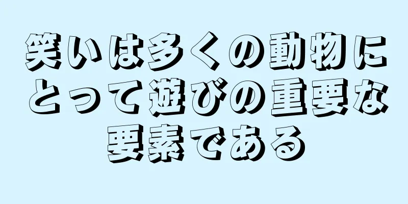 笑いは多くの動物にとって遊びの重要な要素である