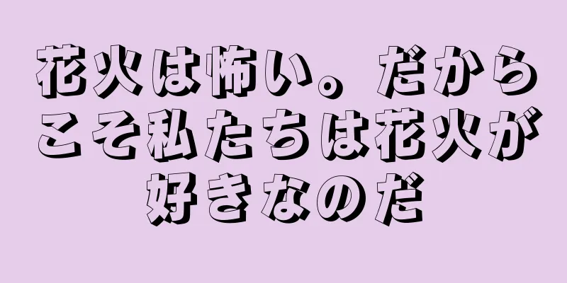 花火は怖い。だからこそ私たちは花火が好きなのだ