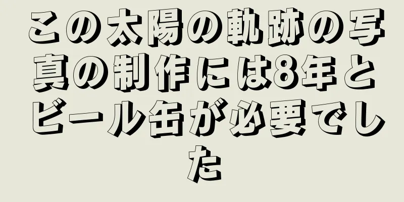 この太陽の軌跡の写真の制作には8年とビール缶が必要でした