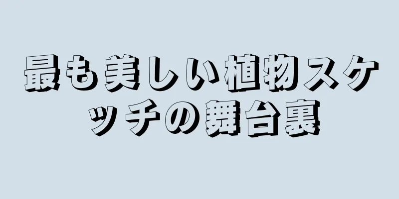 最も美しい植物スケッチの舞台裏