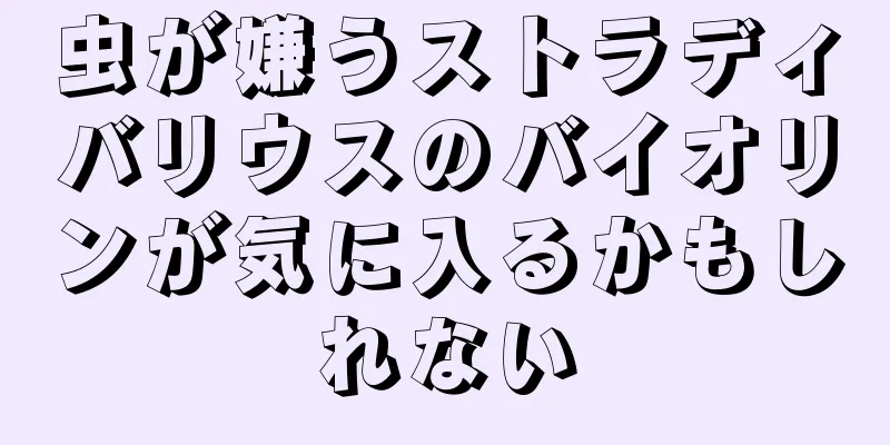 虫が嫌うストラディバリウスのバイオリンが気に入るかもしれない