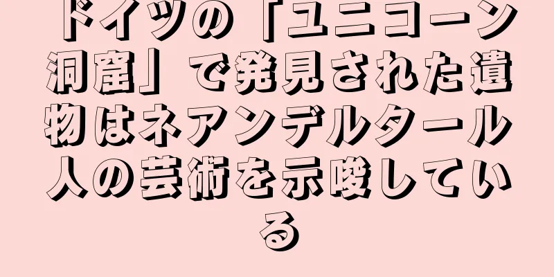 ドイツの「ユニコーン洞窟」で発見された遺物はネアンデルタール人の芸術を示唆している