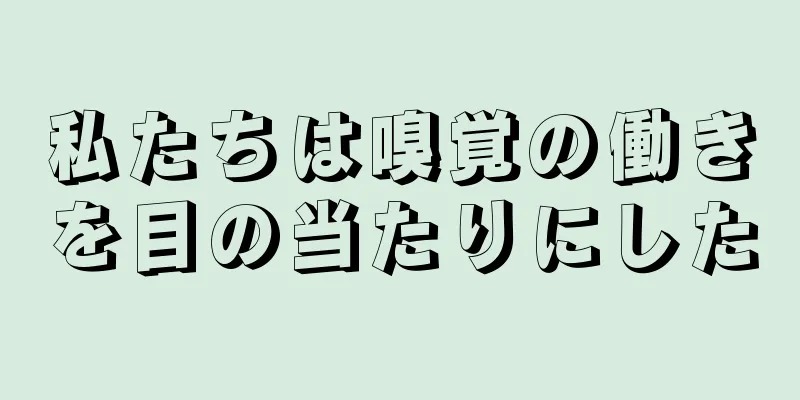 私たちは嗅覚の働きを目の当たりにした