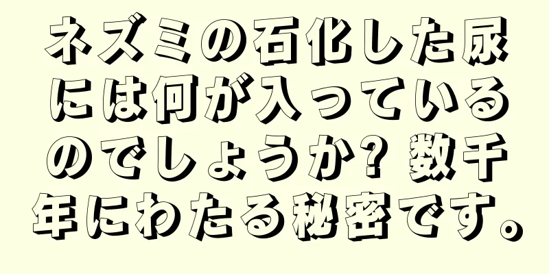 ネズミの石化した尿には何が入っているのでしょうか? 数千年にわたる秘密です。