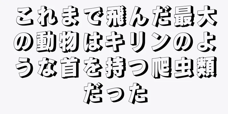 これまで飛んだ最大の動物はキリンのような首を持つ爬虫類だった