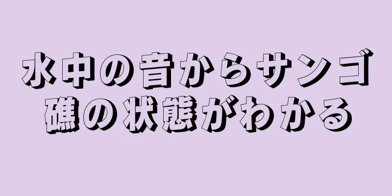 水中の音からサンゴ礁の状態がわかる