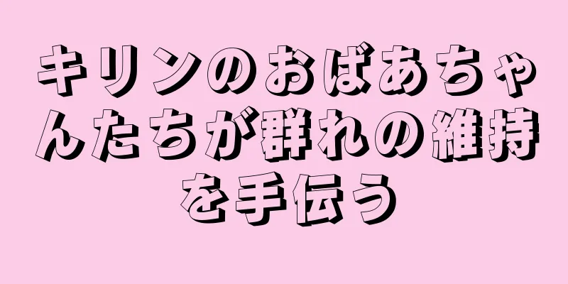 キリンのおばあちゃんたちが群れの維持を手伝う