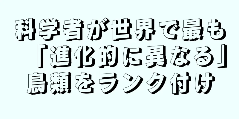 科学者が世界で最も「進化的に異なる」鳥類をランク付け