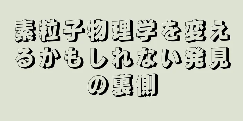 素粒子物理学を変えるかもしれない発見の裏側