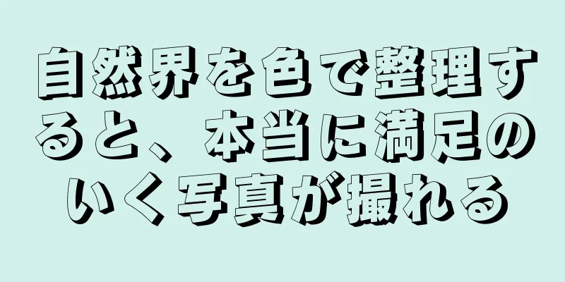 自然界を色で整理すると、本当に満足のいく写真が撮れる