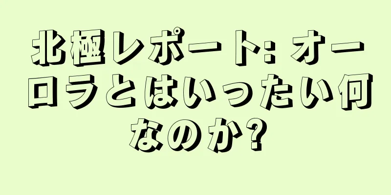 北極レポート: オーロラとはいったい何なのか?