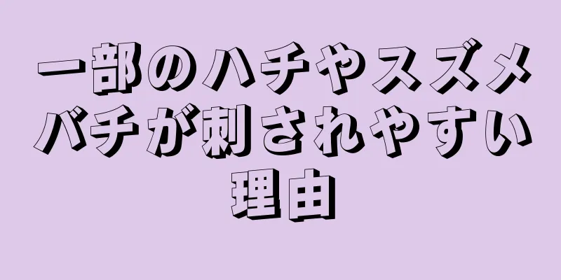一部のハチやスズメバチが刺されやすい理由