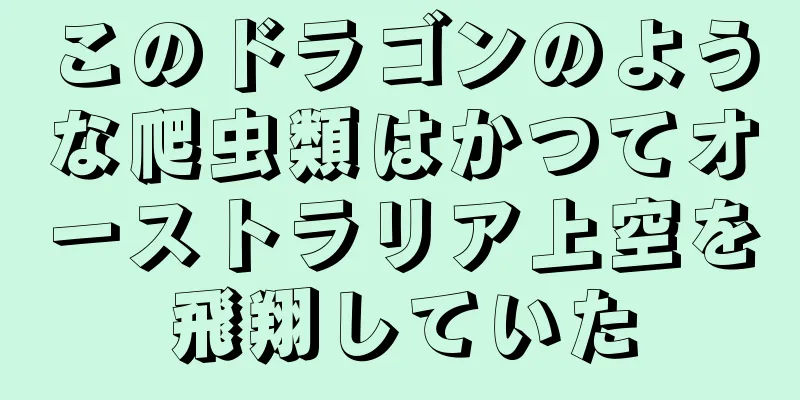 このドラゴンのような爬虫類はかつてオーストラリア上空を飛翔していた
