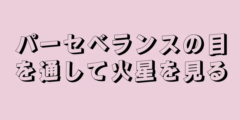 パーセベランスの目を通して火星を見る