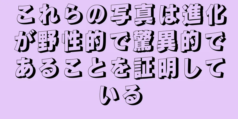 これらの写真は進化が野性的で驚異的であることを証明している
