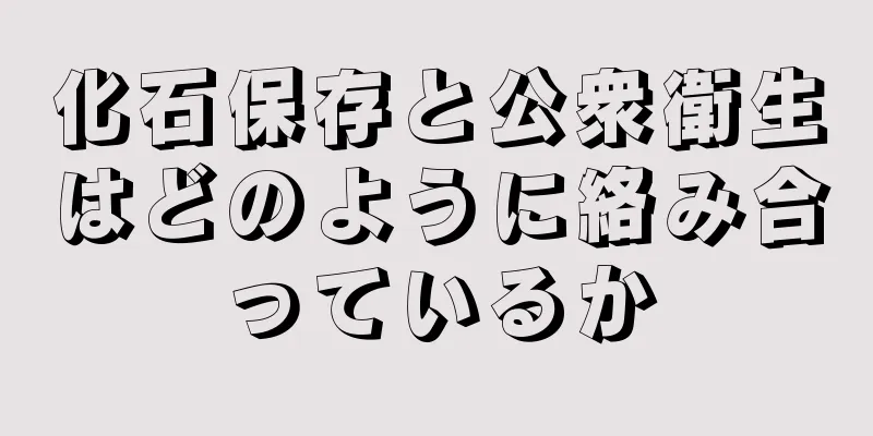 化石保存と公衆衛生はどのように絡み合っているか