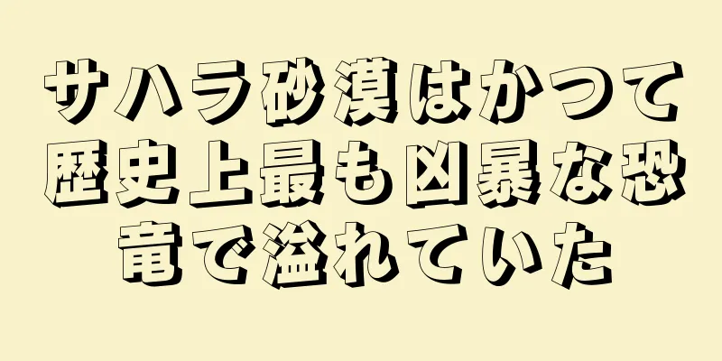 サハラ砂漠はかつて歴史上最も凶暴な恐竜で溢れていた