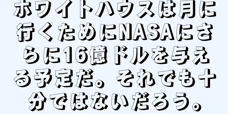 ホワイトハウスは月に行くためにNASAにさらに16億ドルを与える予定だ。それでも十分ではないだろう。