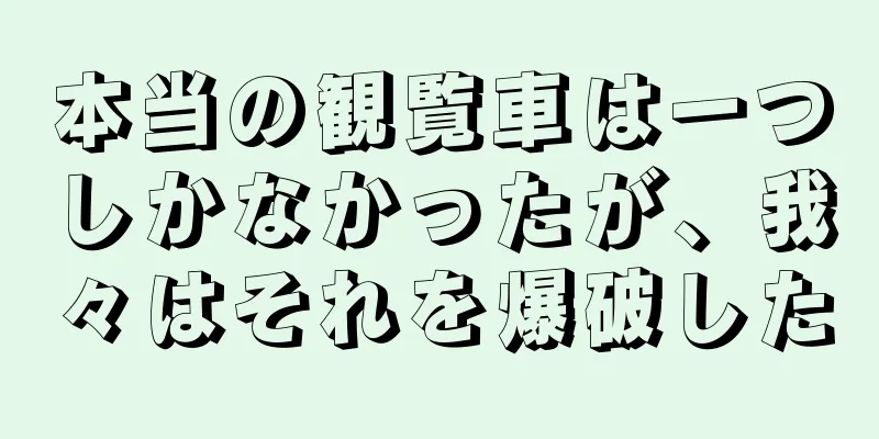 本当の観覧車は一つしかなかったが、我々はそれを爆破した